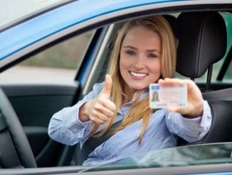 Translation of a Driving License Translation of a Driving License